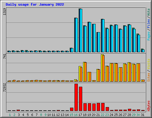Daily usage for January 2022