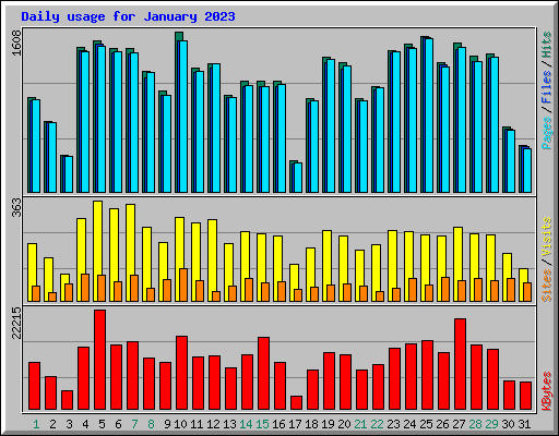 Daily usage for January 2023