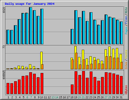 Daily usage for January 2024