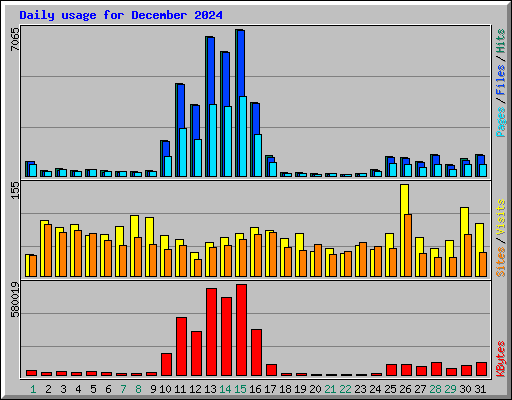 Daily usage for December 2024