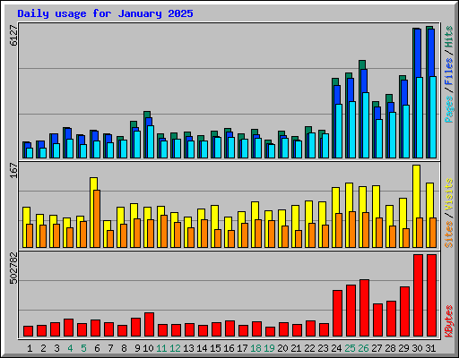 Daily usage for January 2025