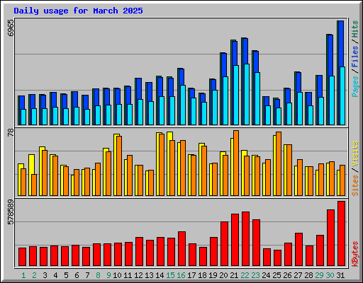Daily usage for March 2025