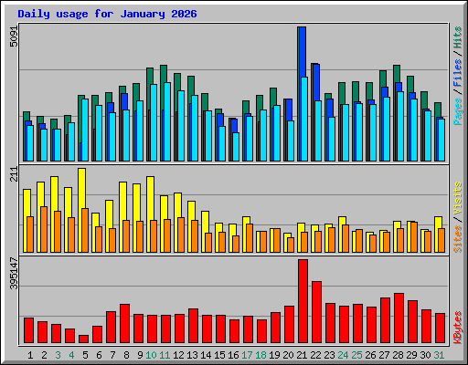 Daily usage for January 2026