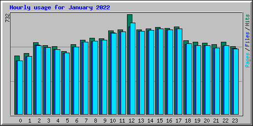 Hourly usage for January 2022