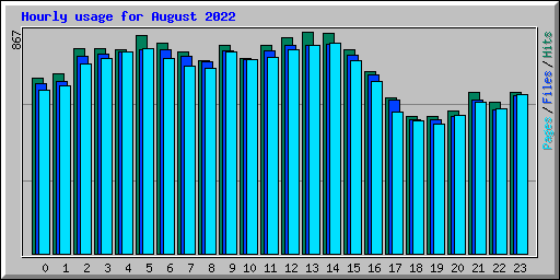 Hourly usage for August 2022