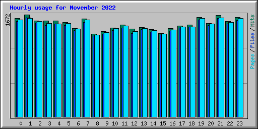 Hourly usage for November 2022