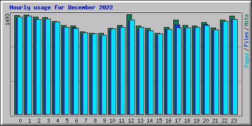 Hourly usage for December 2022