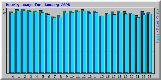 Hourly usage for January 2023