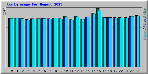 Hourly usage for August 2023