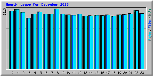 Hourly usage for December 2023