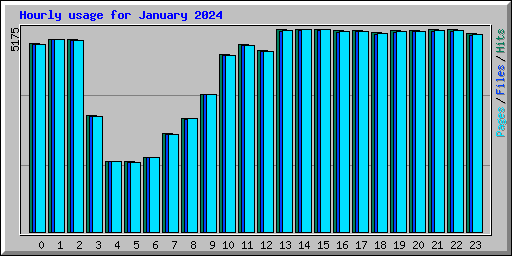 Hourly usage for January 2024