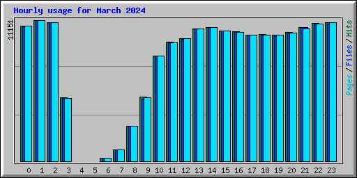Hourly usage for March 2024