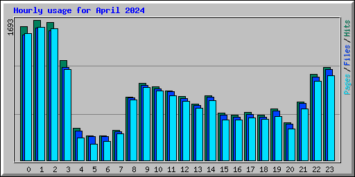 Hourly usage for April 2024