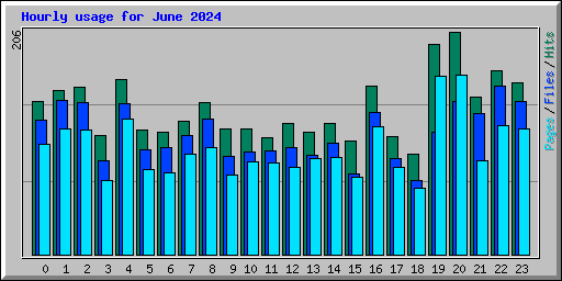 Hourly usage for June 2024