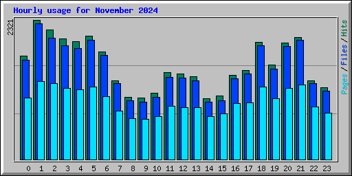 Hourly usage for November 2024