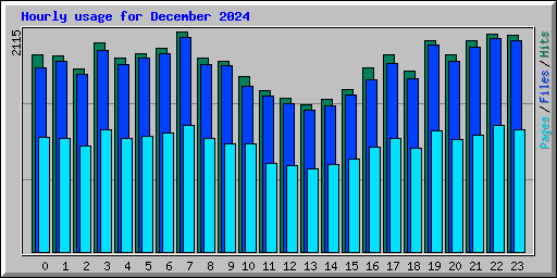 Hourly usage for December 2024