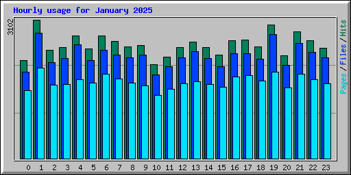 Hourly usage for January 2025