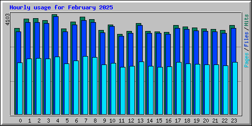 Hourly usage for February 2025