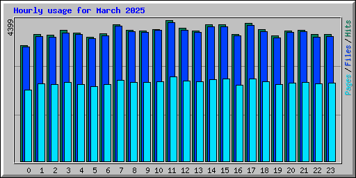 Hourly usage for March 2025