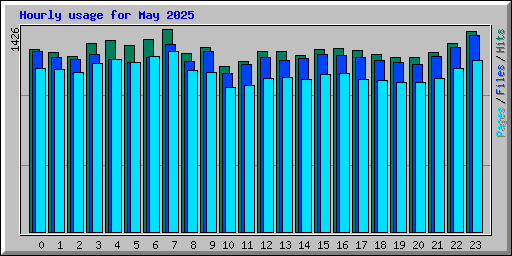 Hourly usage for May 2025