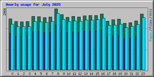 Hourly usage for July 2025