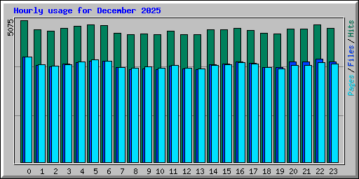 Hourly usage for December 2025