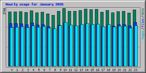 Hourly usage for January 2026